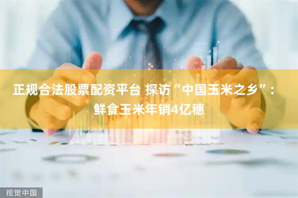 正规合法股票配资平台 探访“中国玉米之乡”： 鲜食玉米年销4亿穗